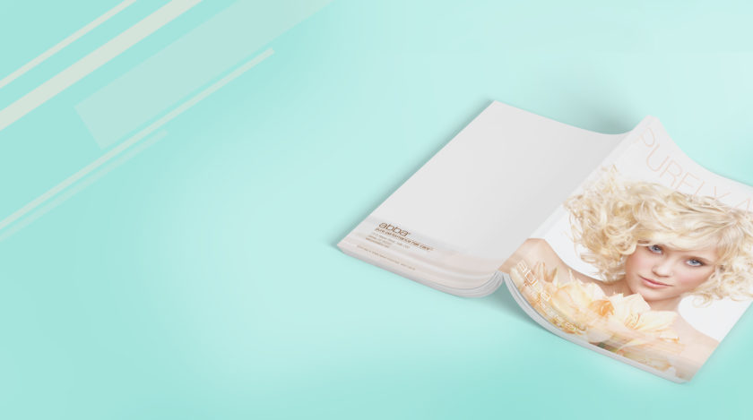 Catalog & Brochure Design